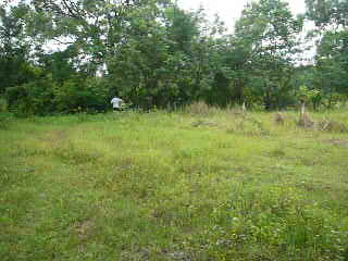 Dambulla Bare Land for sale/rent